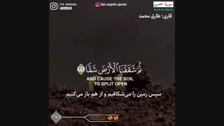 انسان باید به غذایش نگاه کند و درباره آن بیندیشد