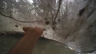 شگفتی‌های طبیعت _ جنگلی از تارهای عنکبوت