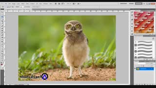 آموزش فتوشاپ حذف کاراکتر بدون پس زمینه