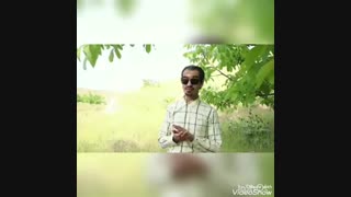 چه طور یک عنوان جذاب برای محصول یا خدمت خود بنویسیم از اثر خاص