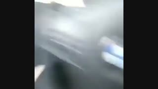 پیرزن و پیرمرد