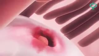 هر آن جه که خانم ها باید د رمورد باروری بدانند