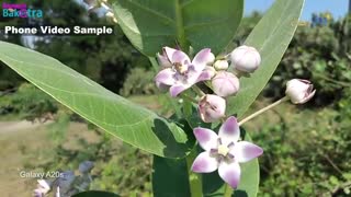 ویدئوی جعبه گشایی و بررسی گوشی سامسونگ مدل A20s