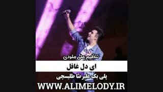 پلی بک علیرضا طلیسچی ای دل غافل نسخه بدون وکال