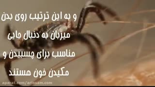 قوی ترین سم کنه کش