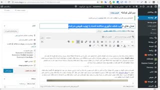 چگونه با یک تکنیک سئو 1000% بازدید سایت را افزایش دادم؟