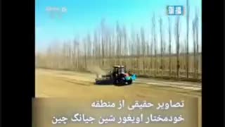 «نگرانی درباره حقوق بشر» ساده ترین راه دولت آمریکا برای انحراف افکار عمومی خود