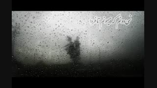 آهنگ بیادماندنی پرنده - با نوای مانی رهنما