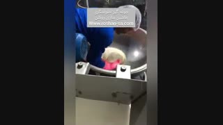 چونه گیر حلوا شکری- خط تولید حلوا شکری- ماشین سازی روشن- 09123389187