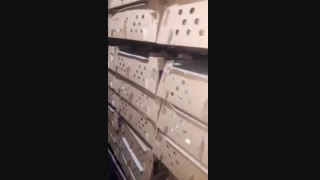 جوجه گوشتی یک روزه