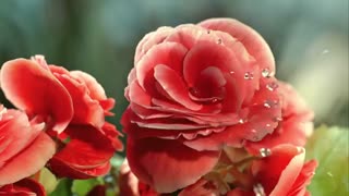 قیمت تلویزیون الجی 55NANO90 | بانه خرید