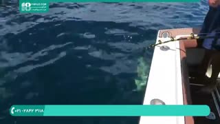 ماهیگیری وبه قلاب انداختن طعمه