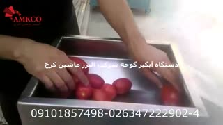 دستگاه ابگیر گوجه