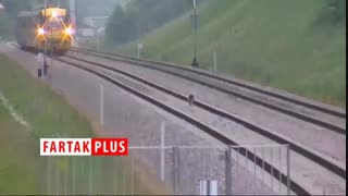 سگی که حرکت یک قطار را مختل کرد