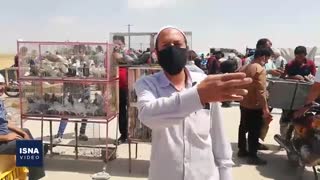 کرونا و آشفته‌بازار پرنده‌فروشان مشهدی