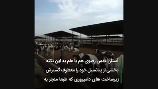رخدادی مهم در عرصه دامپروری شرق کشور