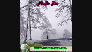 رزرو اقامتگاه بومگردی در جنت رودبار رامسر