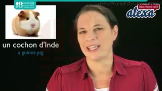 آموزش اسم حیوانات خانگی به زبان فرانسه