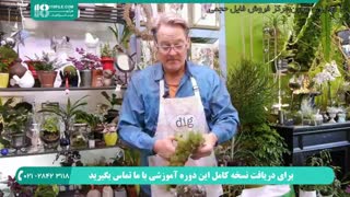 آموزش نحوه ی ساخت و نگهداری تراریوم