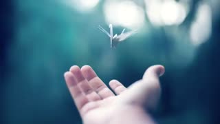 پخش انلاین موزیک دانلود رایگان موزیک رادیو بهترین پلی لیست  makhlut.ir