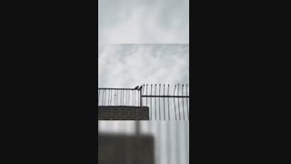 هیچی دیگه ... منم برم(: