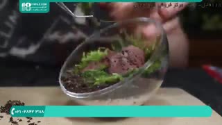 آموزش ساخت تراریم باز خزه معلق