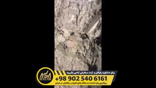 یافت گنج توسط خریداران آسا دتکتور