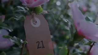 پارک شین هه و طبیعت زیبا (تبلیغ Mamonde)