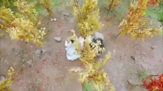 قسمت سی و هفتم سریال چینی خدای جنگ . قهرمان ژائو زی لانگ God of War, Zhao Yun 2016