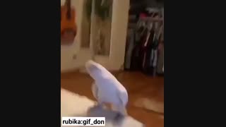 وقتی وسط بازی آنلاین اینترنت تمام میشه ....