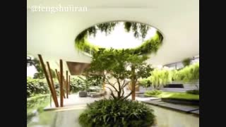 انرژی های حیوانات خانگی و دست آموز