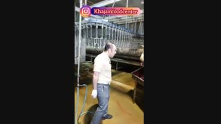 خط تولید مجتمع مرغ سالیذ خط 1
