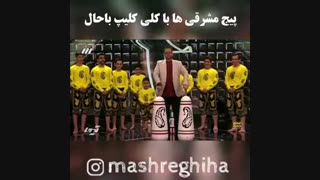میل زدن سید بشیر در عصر جدید