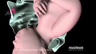 هر آنچه در مورد زایمان سزارین باید بدانید