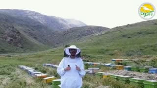 خرید عسل طبیعی از آهوتا