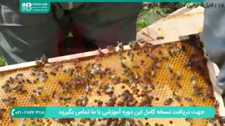 آموزش ساخت کندوی عسل و نحوه ی زنبورداری