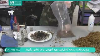 آموزش پرورش قارچ خوراکی به صورت حرفه ای