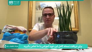 آموزش انتخاب گیاه و گلهای آپارتمانی زینتی