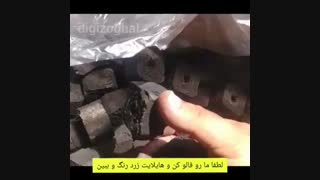 داخل کارتون چیه؟