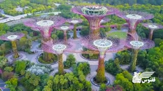 تصاویر باورنکردنی از یکی از مدرن‌ترین کشور های آسیا، سنگاپور | آژانس ققنوس