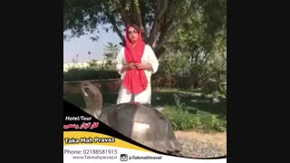 مرگبارترین ساحل دنیا