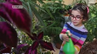 شهید مهندس امین شیرازی - شهیدی که در اردوی جهادی به فیض شهادت نائل آمد