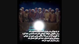 امامِ مجاهد