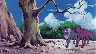 کتاب جنگل - 24