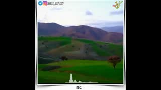 بروجن
