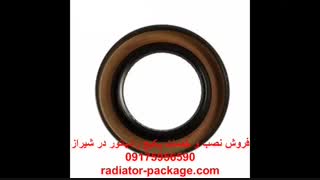 نصب دودکش پکیج شوفاژ فن دار به روش دو لوله ای-تعمیرات پکیج ایران رادیاتور بوتان در شیراز
