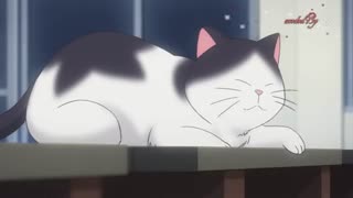 انیمه کمدی عاشقانهKimi to Boku( تو و من ) فصل دوم قسمت ۱ با زیرنویس فارسی آنلاین