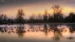 Discipiline _ Jim Rohn