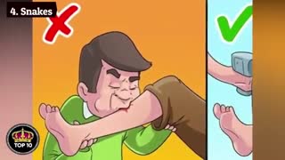 دفاع در برابر حیوانات وحشی