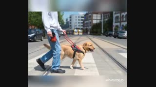 حمایت از حقوق 